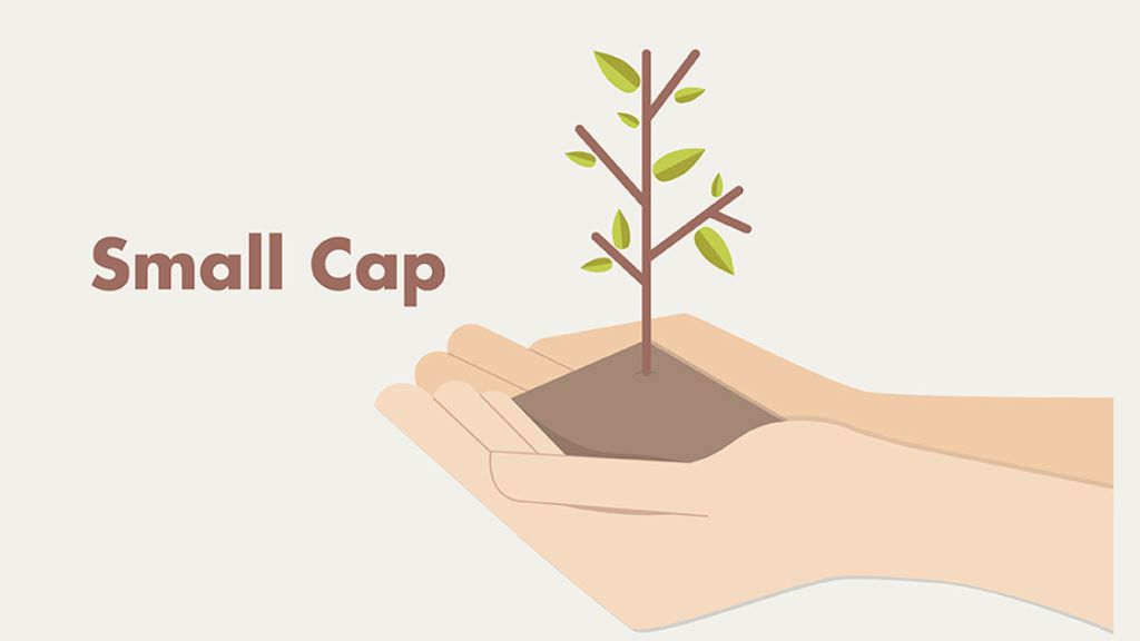 Top 10 Small Cap Stocks in India for 2024 NHL Finance