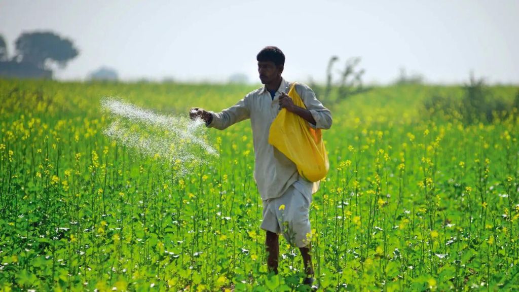 Top 8 Fertilizers Stocks in India for 2024