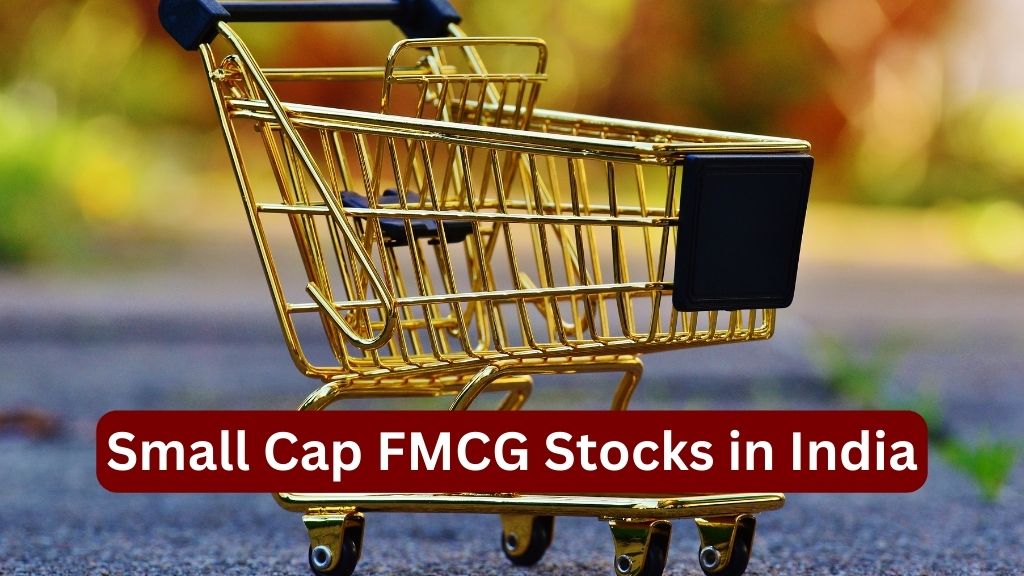 Small Cap FMCG Stocks in India